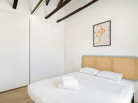 Appartement Madrid 50m² avec terrasse 30m² et clim : photo 11