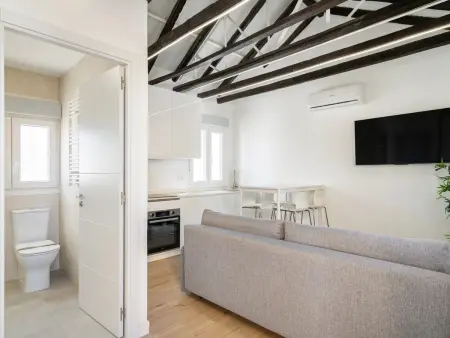 Appartement Madrid 50m² avec terrasse 30m² et clim : photo 13