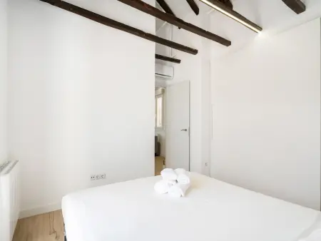 Appartement Madrid 50m² avec terrasse 30m² et clim : photo 18