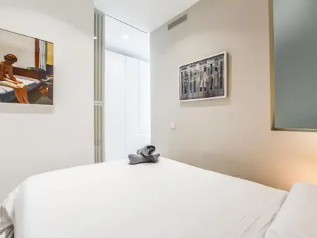 Appartement 1 chambre + canapé-lit à Malasaña, Madrid : photo 14