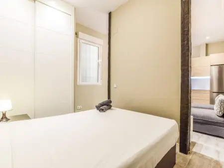 Appartement 1 chambre à Lavapiés, 4 personnes : photo 10