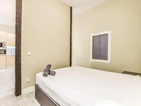 Appartement 1 chambre à Lavapiés, 4 personnes : photo 11