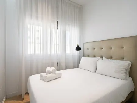 Appartement face au Congrès des Députés, Madrid : photo 20