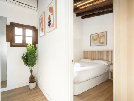 Appartement 6 pers. avec terrasse 20 m² à Madrid : photo 6
