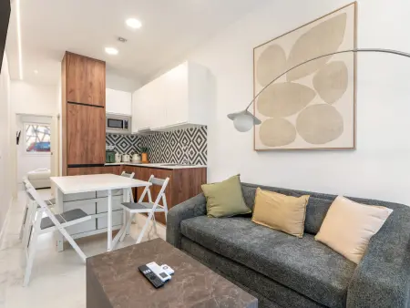 Appartement 1 chambre rénové à Pueblo Nuevo, métro ligne 7 : photo 24