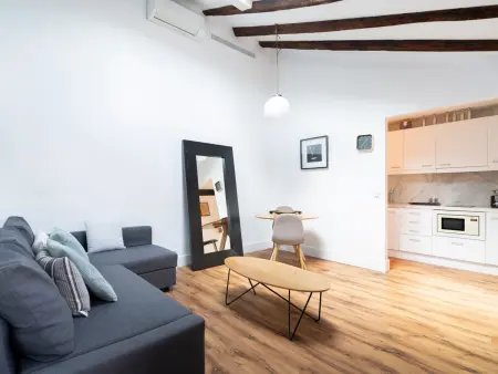 Appartement 1 chambre à Alonso Martínez, Madrid : photo 16