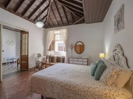 La Placeta, maison canarienne authentique à Los Llanos : photo 8