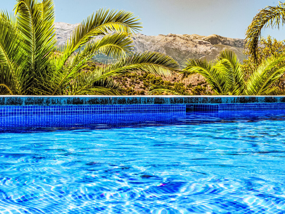 Nido Aguila Blanca, maison 7 chambres avec piscine à Coín - Photo 48