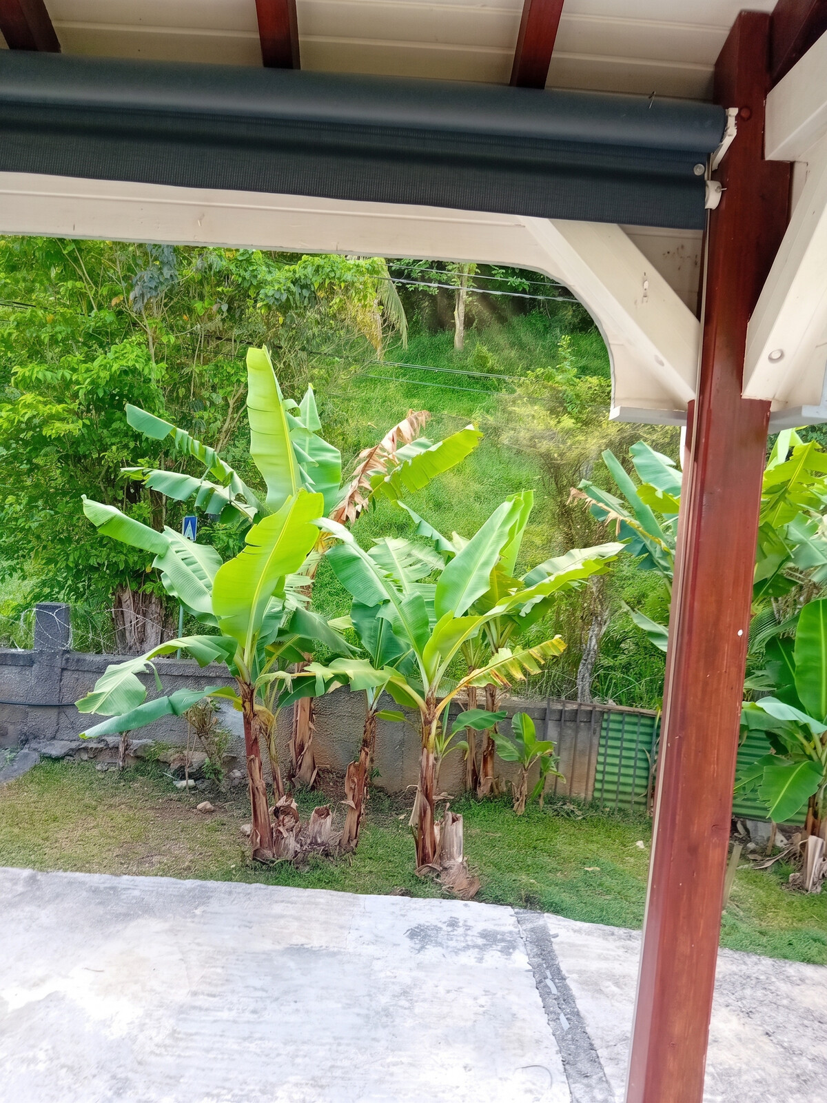 Bungalow 25 m² avec jardin et vue montagnes aux Abymes - Photo 11