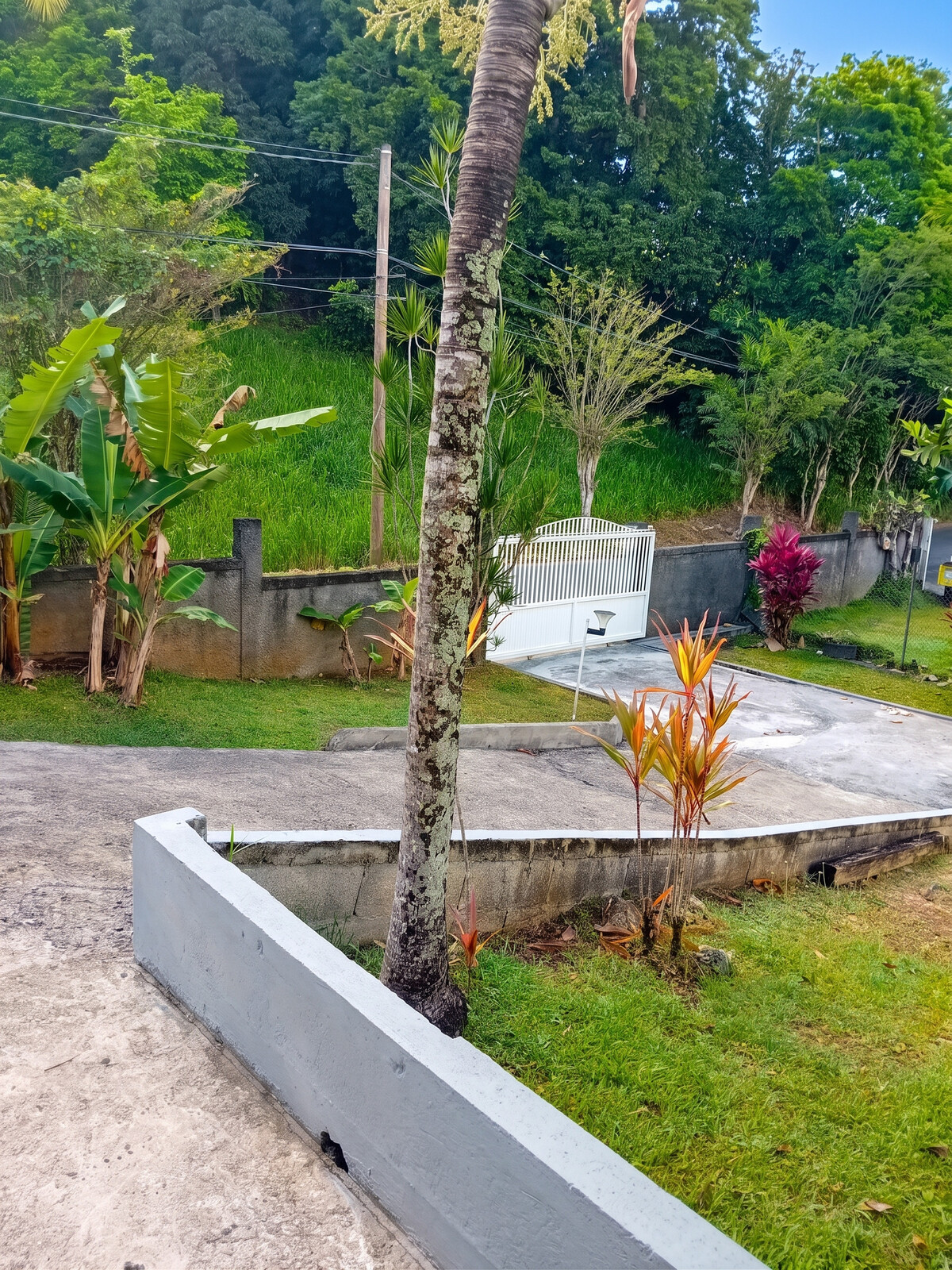 Bungalow 25 m² avec jardin et vue montagnes aux Abymes - Photo 13