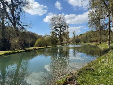 Gîte en bord de rivière à Boismont, pêche et nature : photo 22