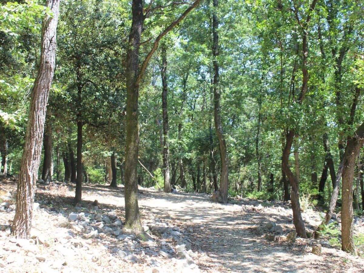 Mago in Ameglia – Maison pierre isolée dans les bois - Photo 5