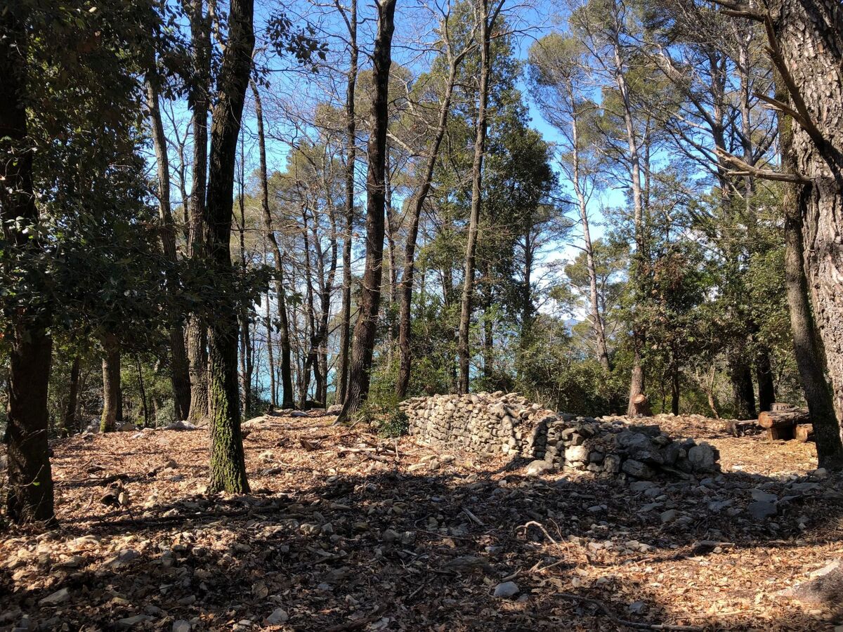 Mago in Ameglia – Maison pierre isolée dans les bois - Photo 7