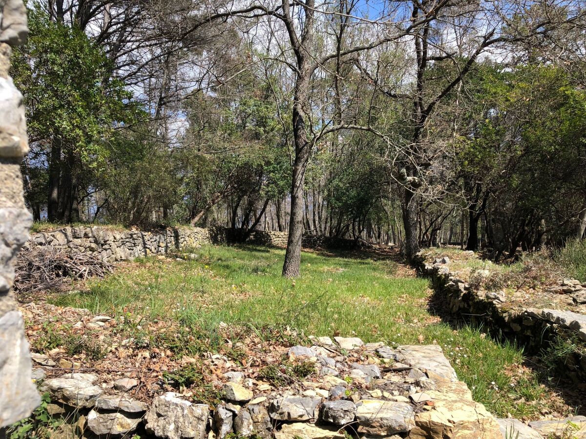 Mago in Ameglia – Maison pierre isolée dans les bois - Photo 9