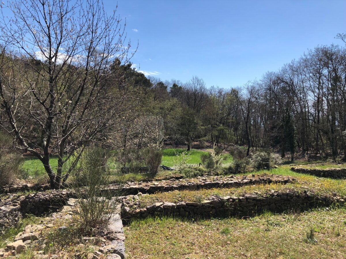 Mago in Ameglia – Maison pierre isolée dans les bois - Photo 10