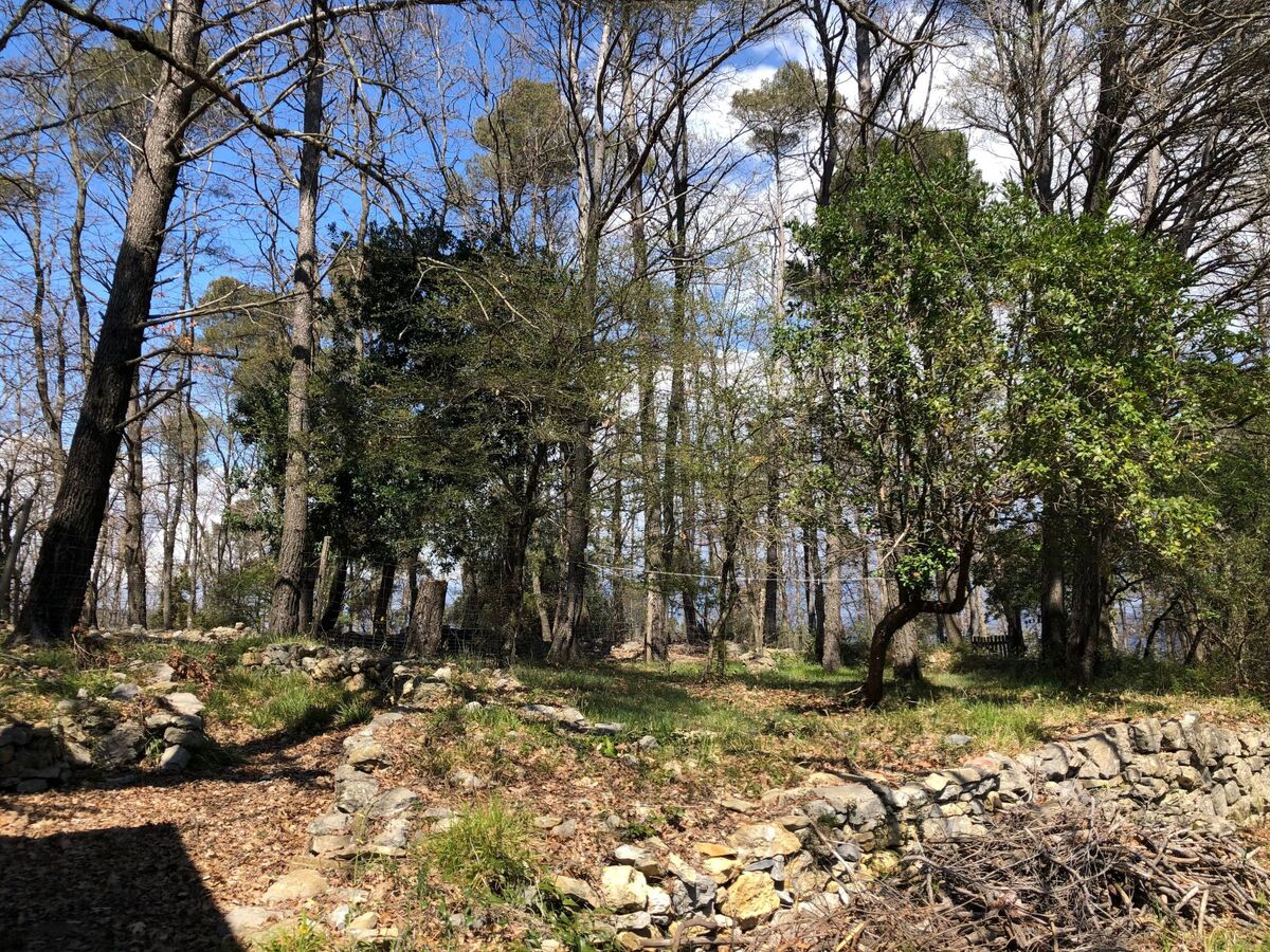 Mago in Ameglia – Maison pierre isolée dans les bois - Photo 11