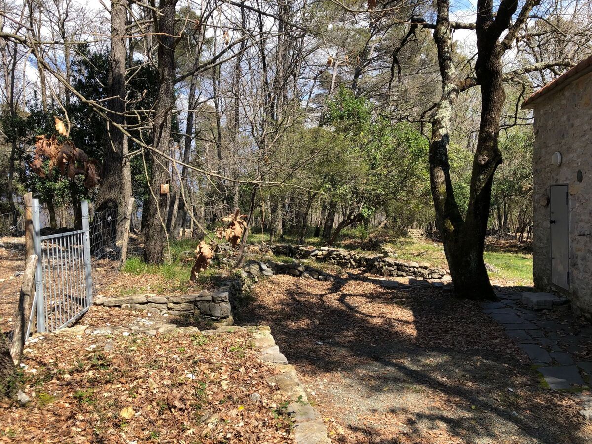 Mago in Ameglia – Maison pierre isolée dans les bois - Photo 26