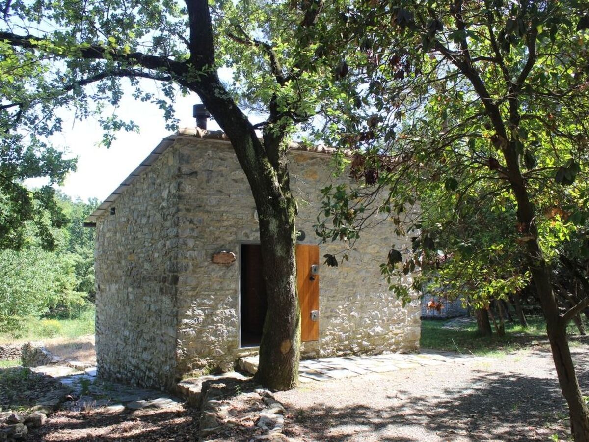 Mago in Ameglia – Maison pierre isolée dans les bois - Photo 31