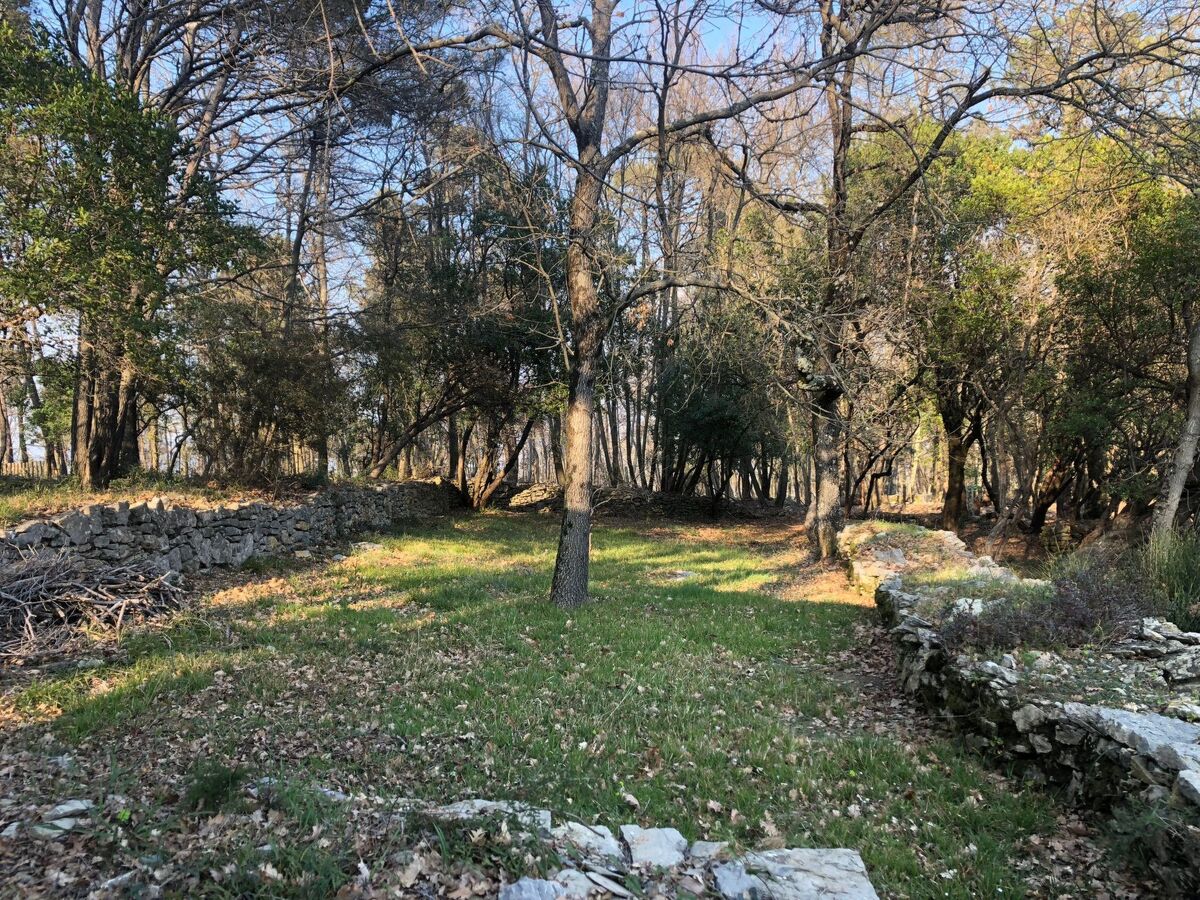 Mago in Ameglia – Maison pierre isolée dans les bois - Photo 36