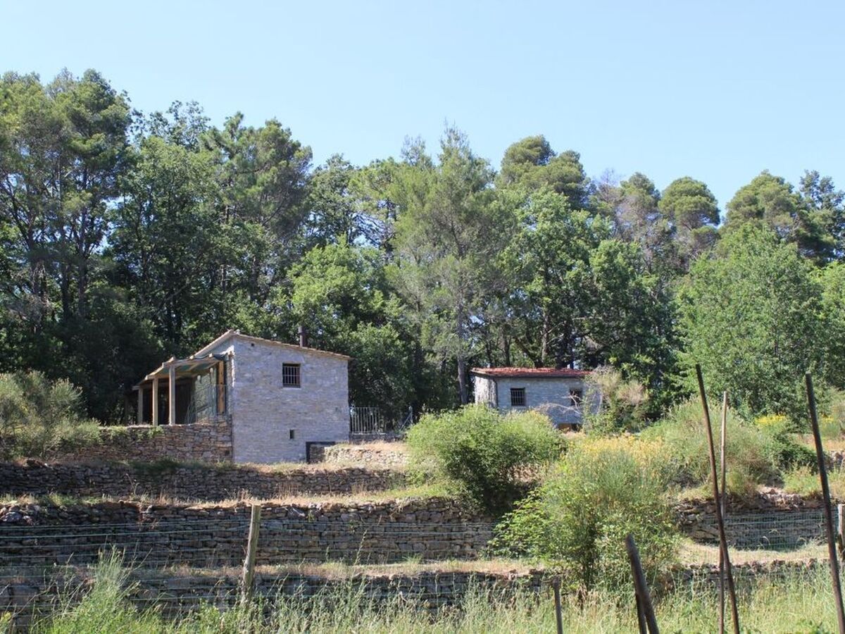 Mago in Ameglia – Maison pierre isolée dans les bois - Photo 45