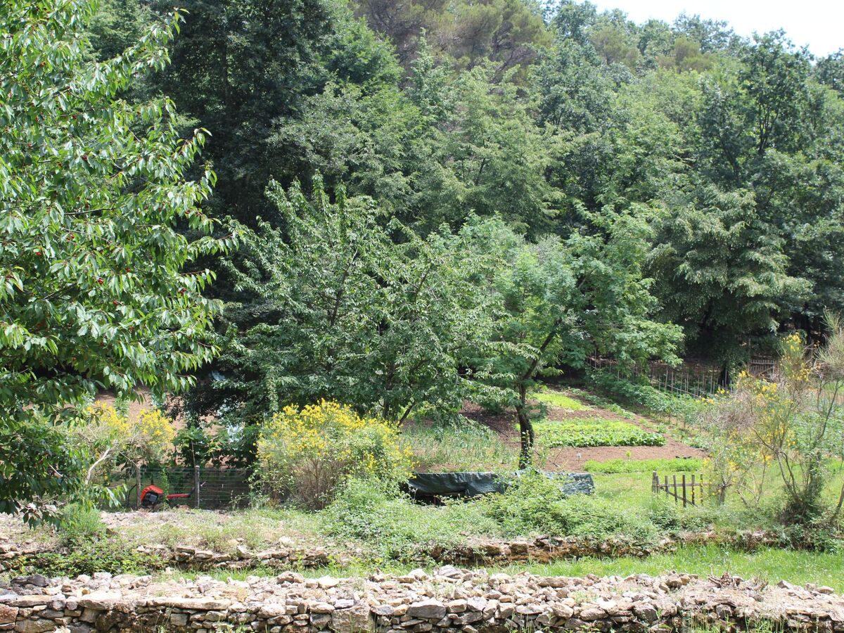 Mago in Ameglia – Maison pierre isolée dans les bois - Photo 46