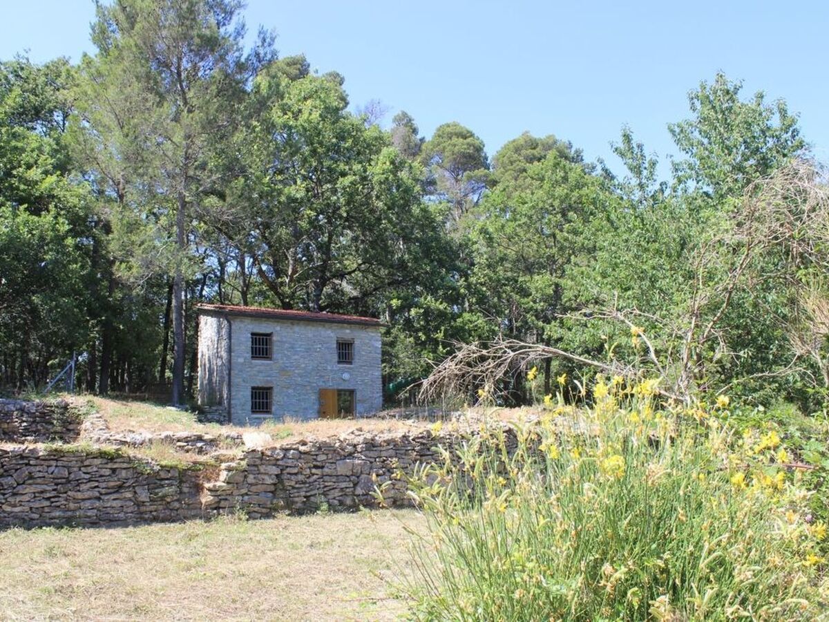 Mago in Ameglia – Maison pierre isolée dans les bois - Photo 48