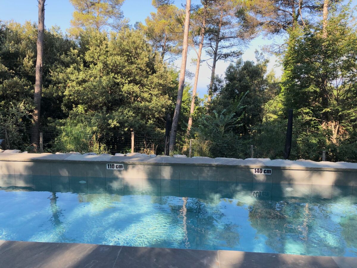 Villa Zypressen : maison en forêt avec piscine à Ameglia - Photo 36
