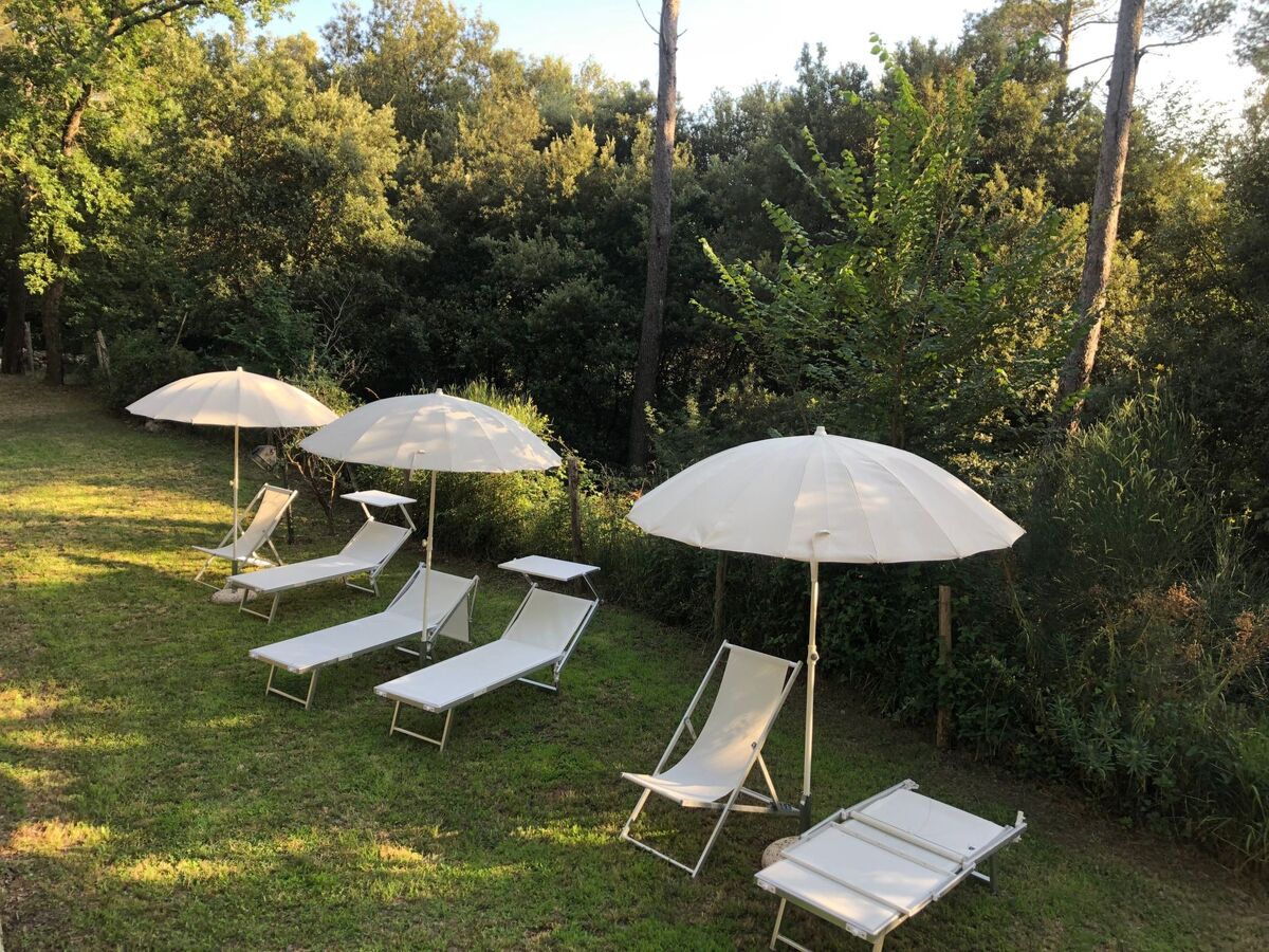 Villa Zypressen : maison en forêt avec piscine à Ameglia - Photo 37