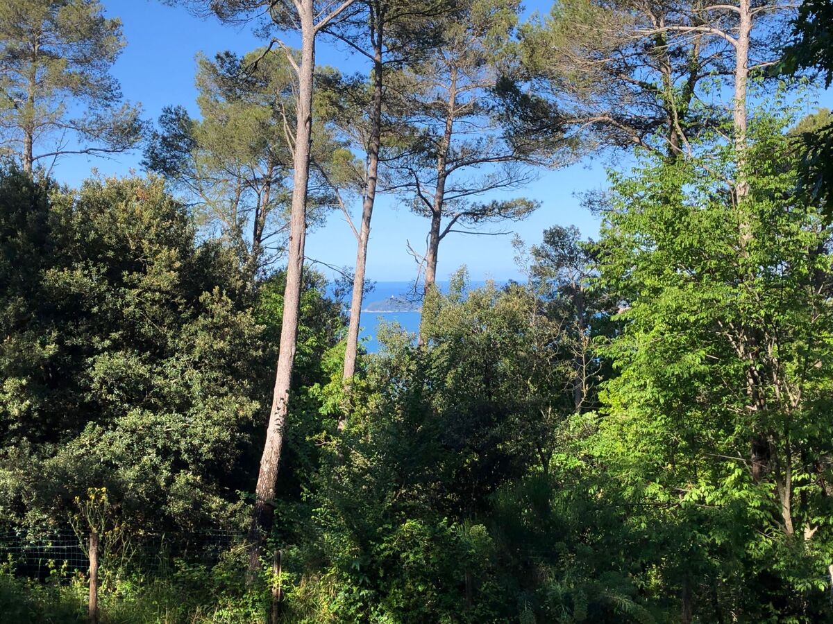 Villa Zypressen : maison en forêt avec piscine à Ameglia - Photo 39