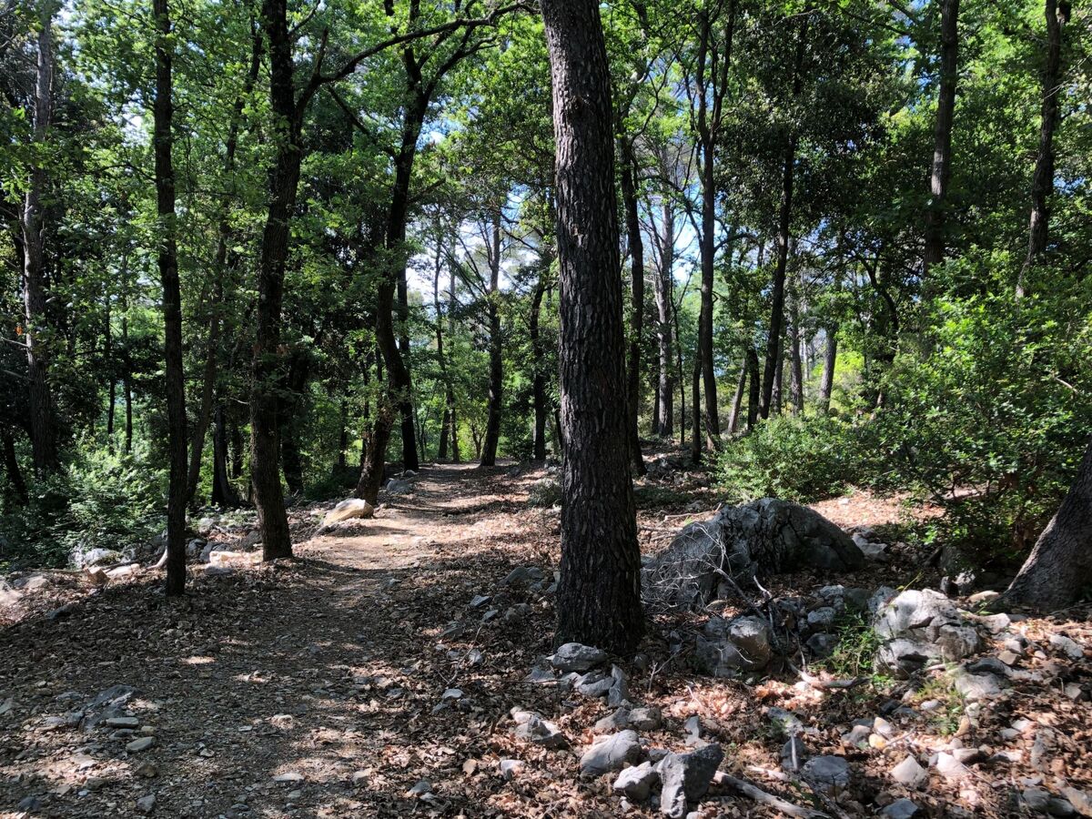 Villa Zypressen : maison en forêt avec piscine à Ameglia - Photo 41