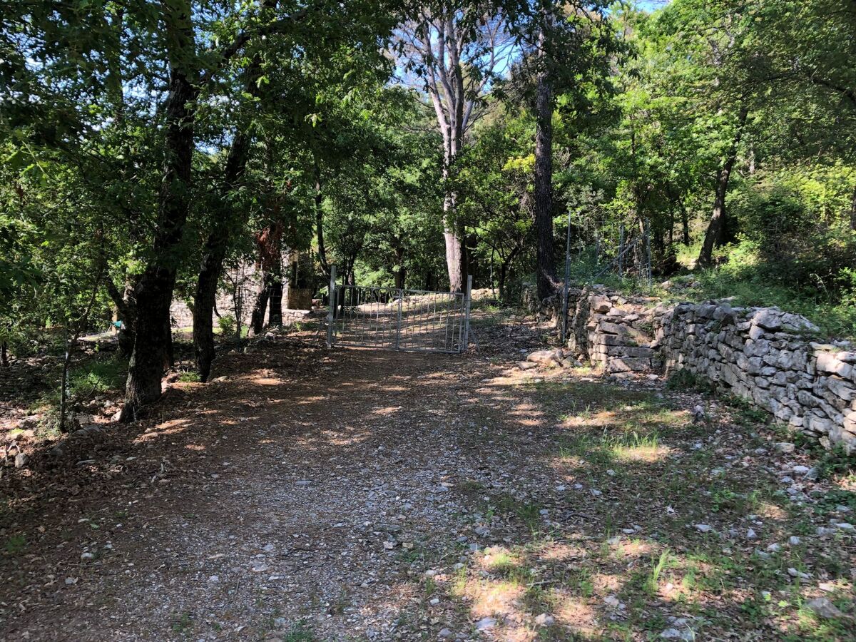 Villa Zypressen : maison en forêt avec piscine à Ameglia - Photo 57