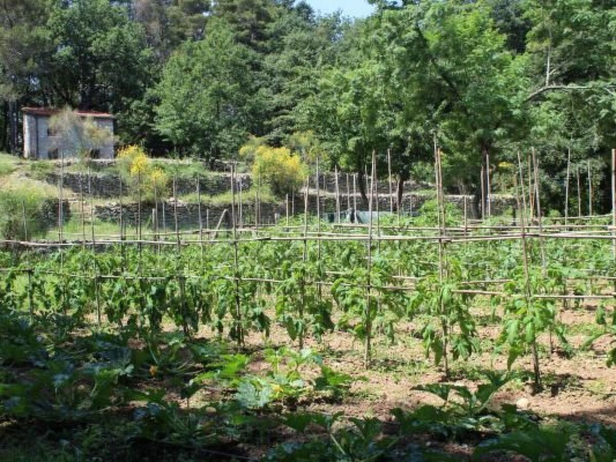 Maison Bruxinha en forêt, 5 personnes, piscine partagée - Photo 10