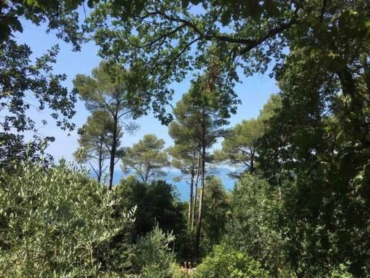Maison Bruxinha en forêt, 5 personnes, piscine partagée - Photo 43
