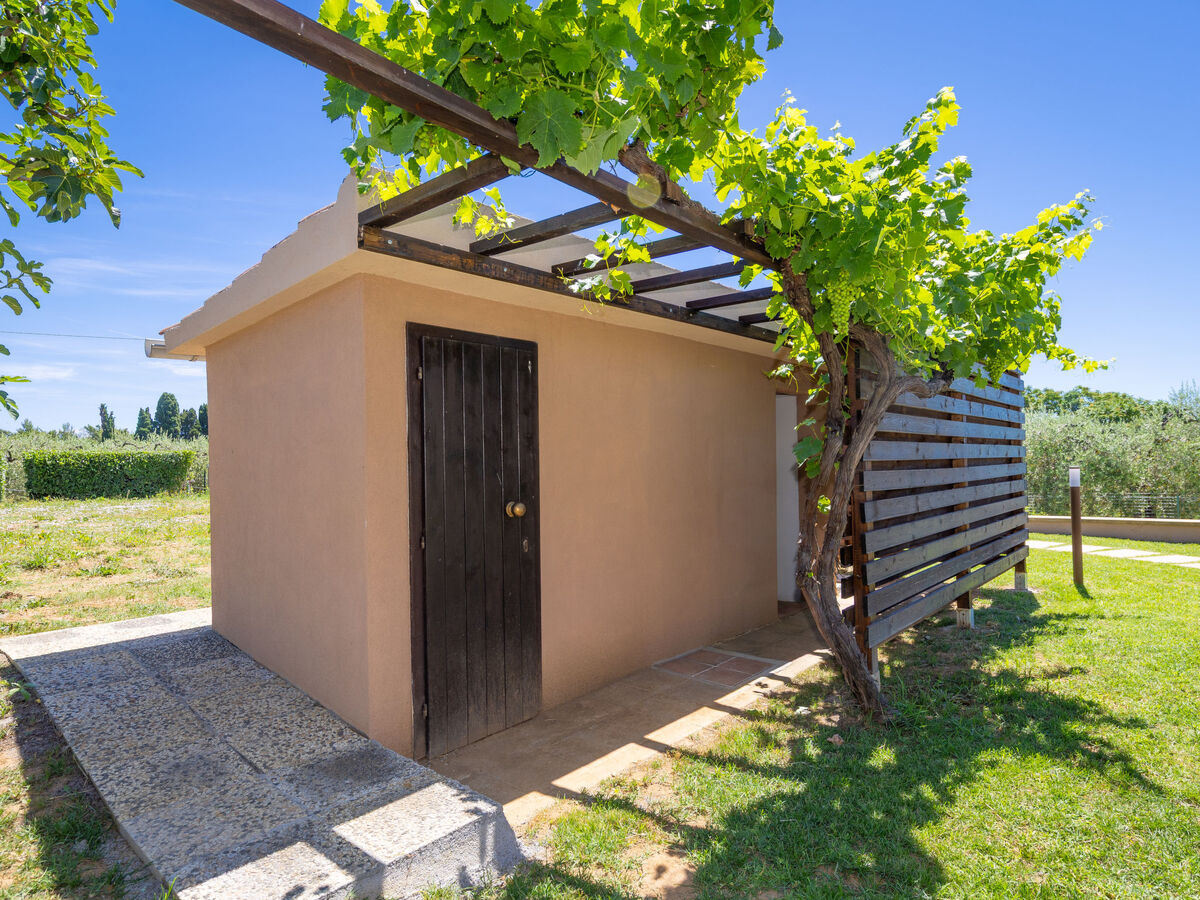 Rose Adriano Home – Maison 8 pers. avec piscine à Cecina - Photo 38