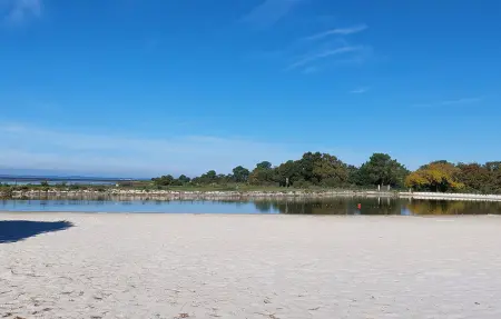Maison mitoyenne 50 m² à Lanton, proche plage : photo 16