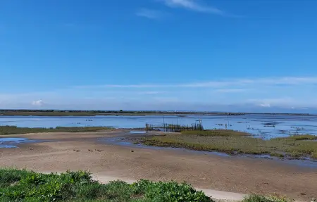 Maison mitoyenne 50 m² à Lanton, proche plage : photo 18