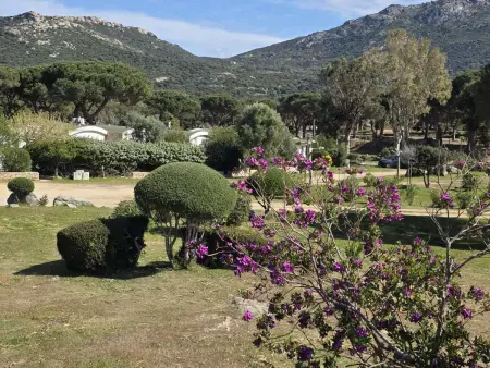 Appartement 6 pers. à 200 m de la plage, Lumio : photo 12