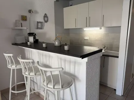 Studio climatisé terrasse 10m² - Port Camargue : photo 9