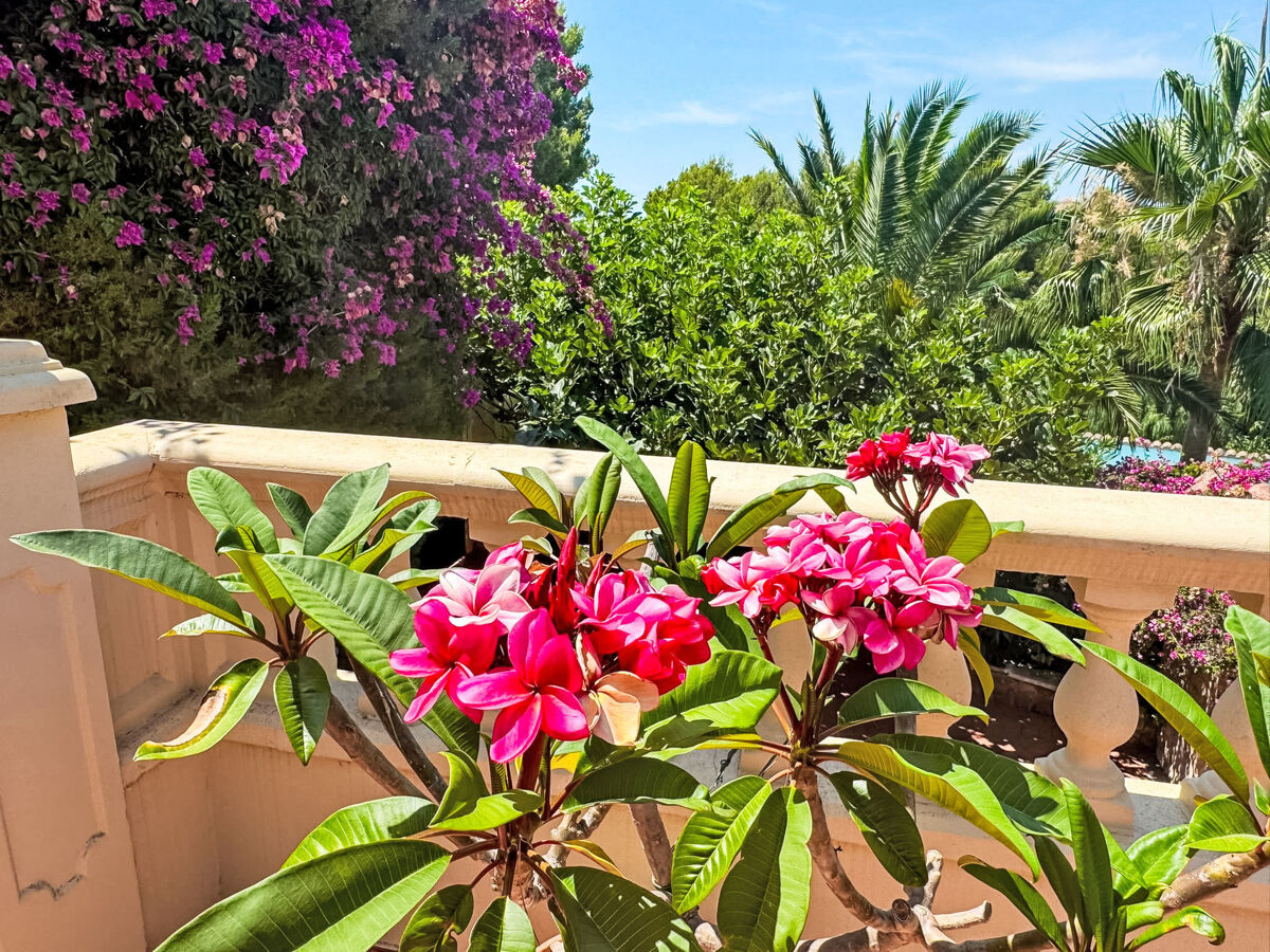 Casa Paradies – Maison mallorquine 4 pers., piscine privée - Photo 12