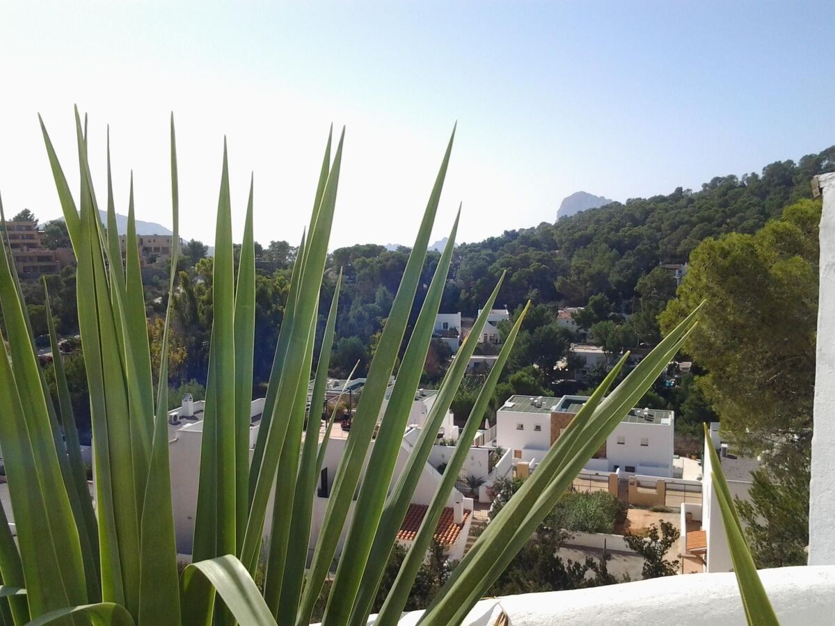 El Vaixell – Maison style ibicenco, vue mer et terrasse - Photo 40