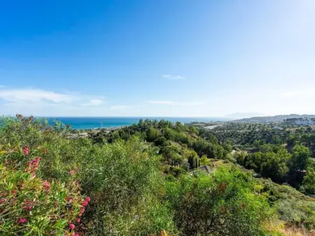 Appartement Huelva - Cortijo andalou à 5 min des plages : photo 40