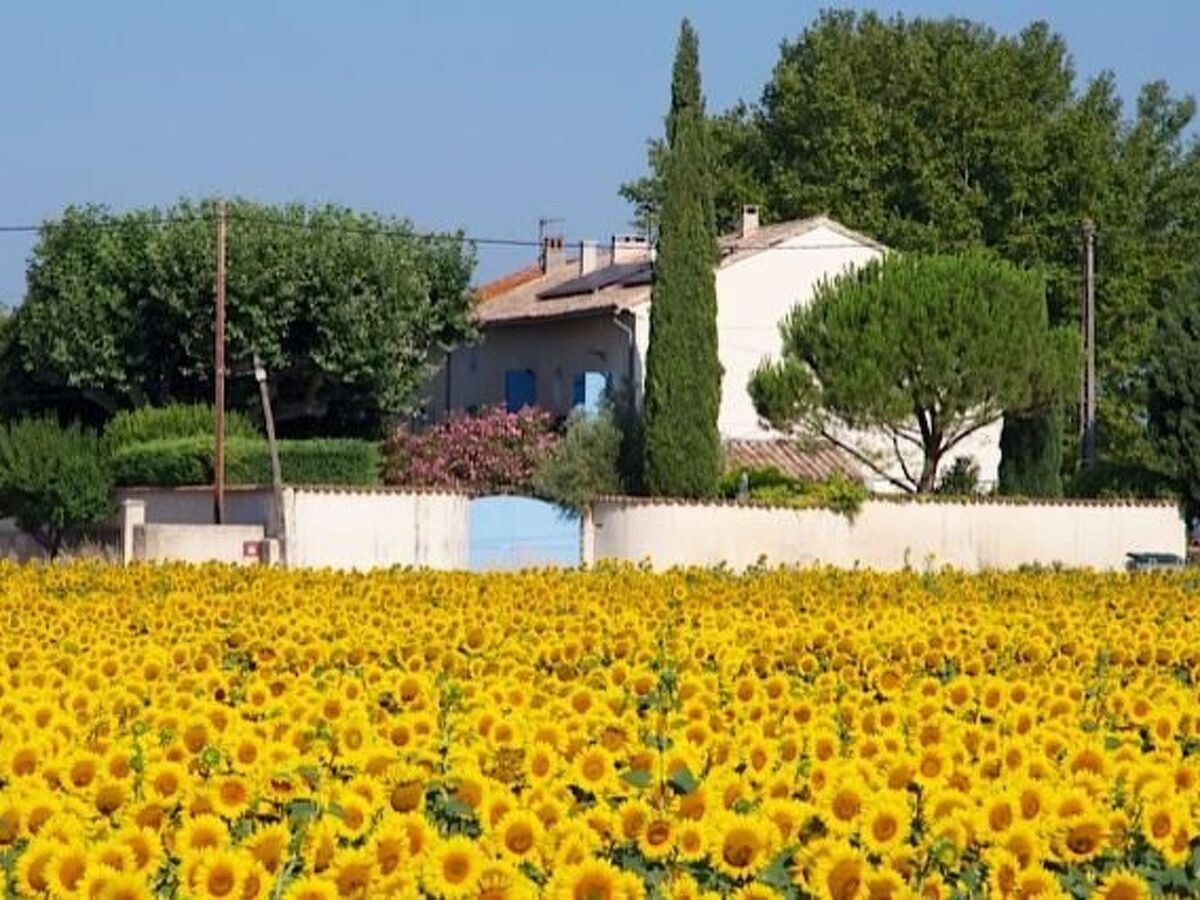 Fermette rénovée 200 ans, piscine & vue Mont Ventoux - Photo 2