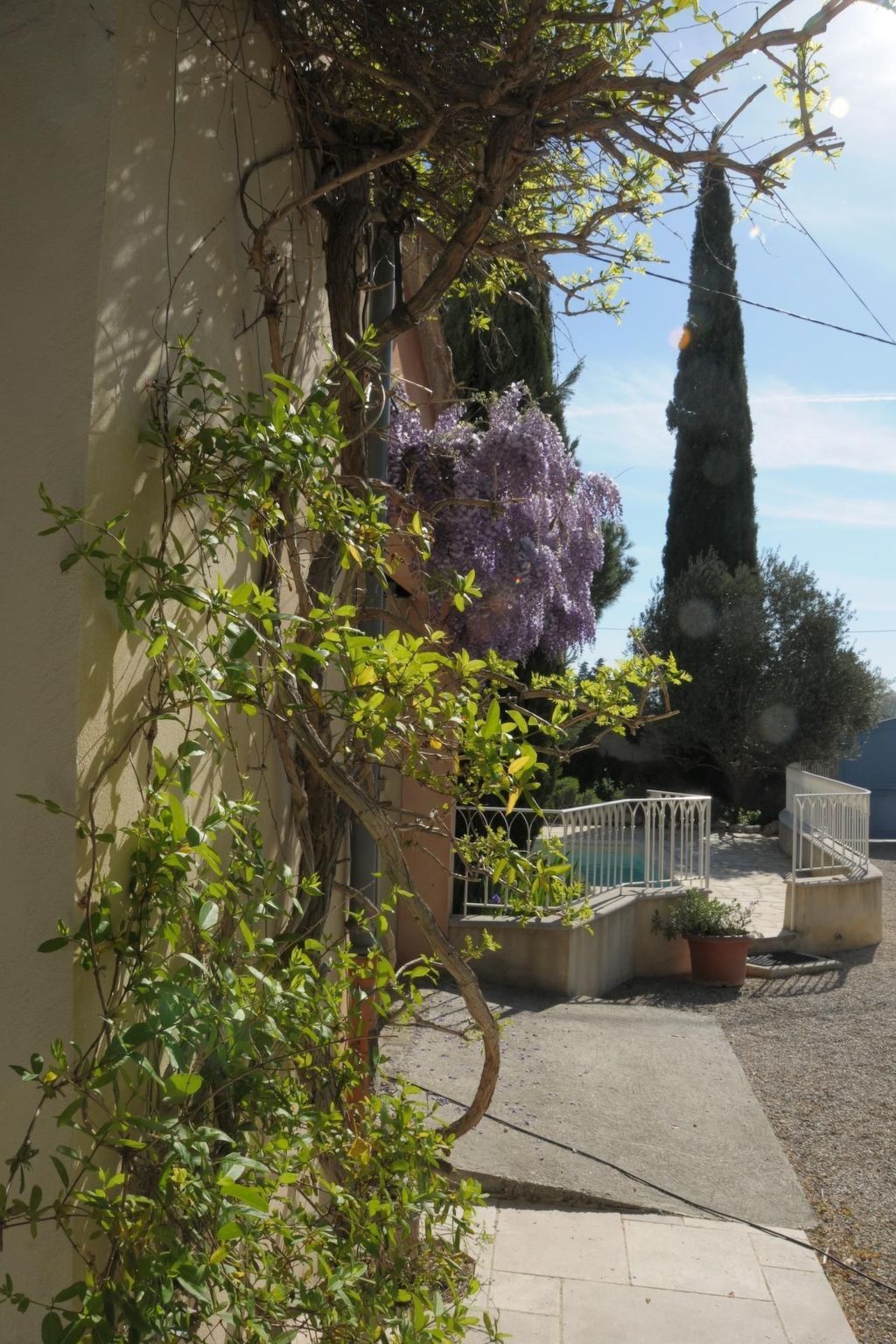 Fermette rénovée 200 ans, piscine & vue Mont Ventoux - Photo 3