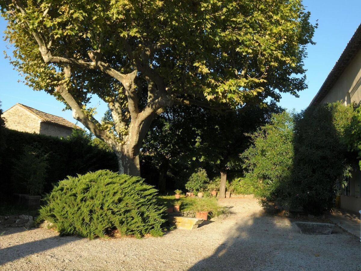 Fermette rénovée 200 ans, piscine & vue Mont Ventoux - Photo 5