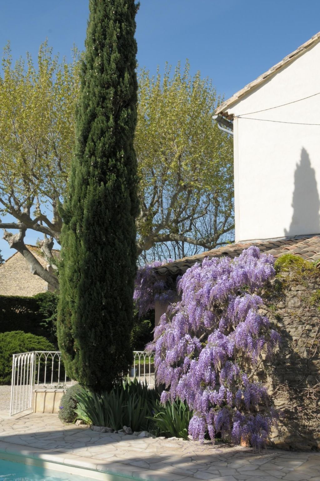 Fermette rénovée 200 ans, piscine & vue Mont Ventoux - Photo 6