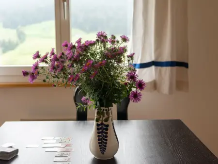 Sonnhalde, Maison 8 personnes à Wildhaus - Photo 27