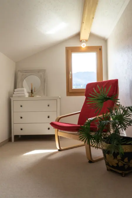 Steinrüti, Maison 7 personnes à Wildhaus - Photo 19