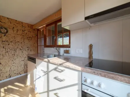 Tanzhaus, Maison 6 personnes à Wildhaus - Photo 7