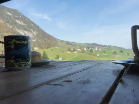 Tanzhaus, Maison 6 personnes à Wildhaus - Photo 21