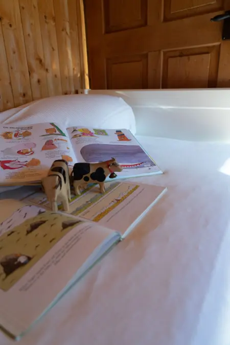 Sigerst, Maison 8 personnes à Wildhaus - Photo 18